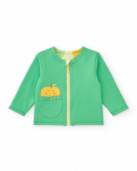 Boys' fleece outfit with apple T-shirt, green pants, and zip-up jacket