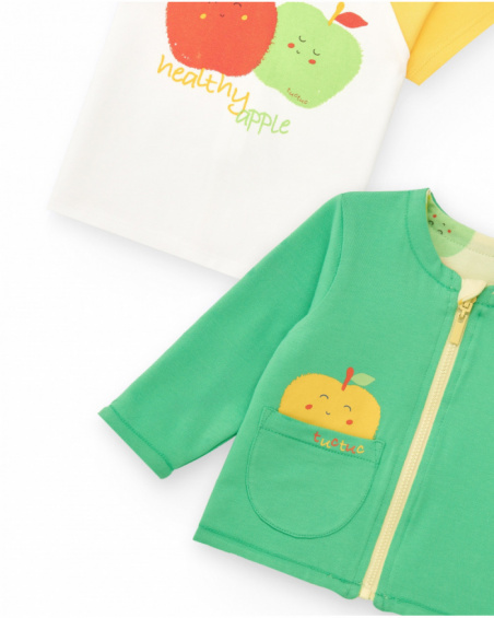 Boys' fleece outfit with apple T-shirt, green pants, and zip-up jacket