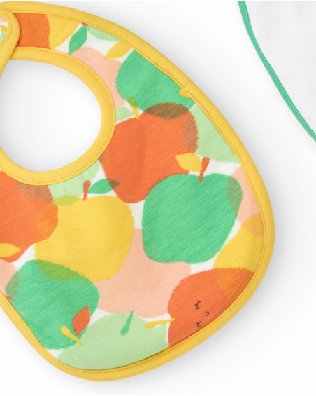 Pack of two unisex bibs with fruit print and snap closure