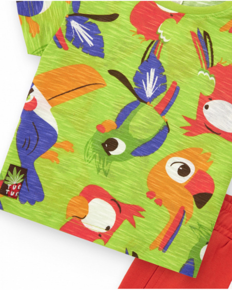 Boys' outfit with parrot T-shirt and red bermuda shorts