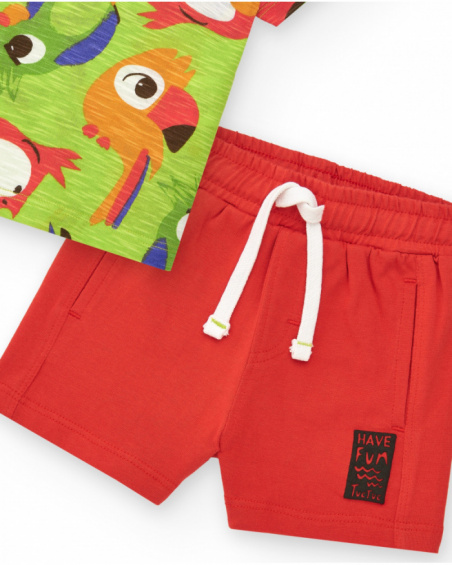 Boys' outfit with parrot T-shirt and red bermuda shorts
