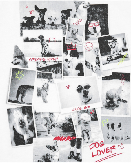 Boys’ white T-shirt with dog print