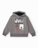 Grey hoodie with skate print for boys Grey hoodie with skate print for boys