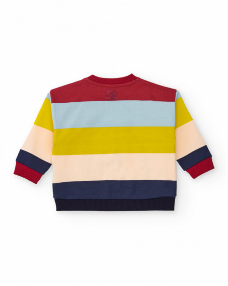 Multicolor sweatshirt for boy with detective dog print