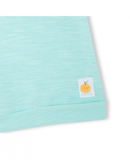 Blue buttons jersey t-shirt and bermudas for boys picnic time