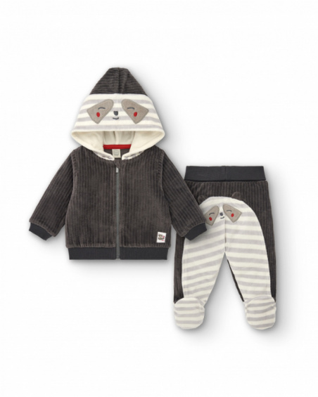 Conjunto de dos piezas niño en gris con diseño de mapache