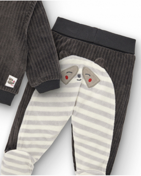 Conjunto de dos piezas niño en gris con diseño de mapache