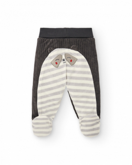 Conjunto de dos piezas niño en gris con diseño de mapache