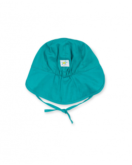 Gorro plana tortuga azul niño Turtles
