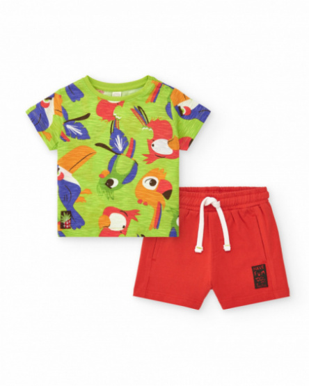 Conjunto para niño con camiseta de loros y bermuda roja