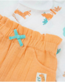 Conjunto de recién nacido de plana y estampado jirafas