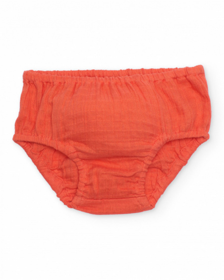 Vestido de recién nacido de plana y diseño fresita