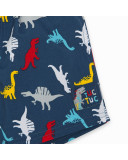 BERMUDA DE BAÑO DINOSARIOS NIÑO AZUL DRAW A REX BERMUDA DE BAÑO DINOSARIOS NIÑO AZUL DRAW A REX