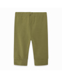 LEGGING PIRATA PUNTO ESTRELLA NIÑA VERDE BASICOS KIDS LEGGING PIRATA PUNTO ESTRELLA NIÑA VERDE BASICOS KIDS
