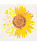 Camiseta manga corta nath kids by tuc tuc blanca girasol niña Camiseta manga corta nath kids by tuc tuc blanca girasol niña