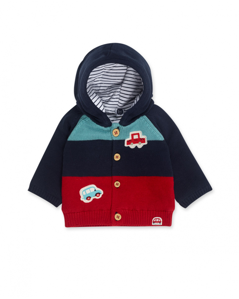 Veste Tricot Bleu Garçon Mini Traveller