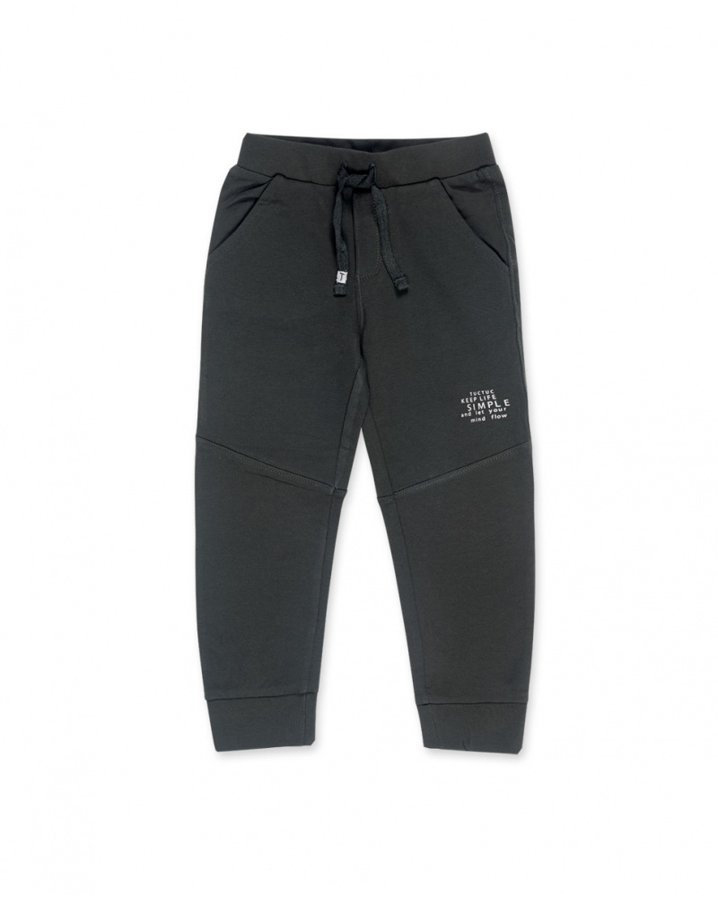 Pantalon Peluche Gris Garçon Basics Bébé W23