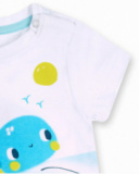 Ensemble tricot bleu garçon Tortues Ensemble tricot bleu garçon Tortues