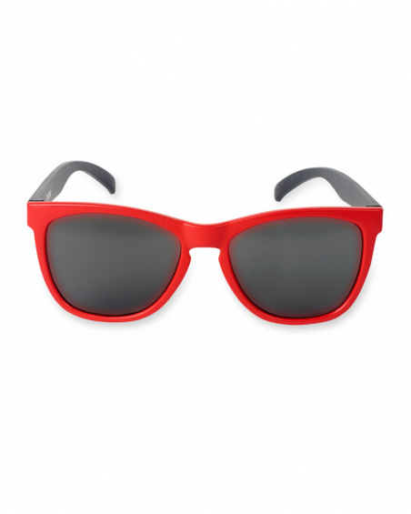 Lunettes de soleil bleu rouge garçon Beach Day Lunettes de soleil bleu rouge garçon Beach Day