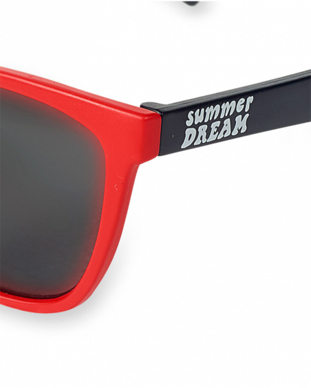 Lunettes de soleil bleu rouge garçon Beach Day Lunettes de soleil bleu rouge garçon Beach Day