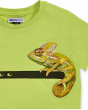 T-shirt jersey vert anis pour garçon Desert trail T-shirt jersey vert anis pour garçon Desert trail
