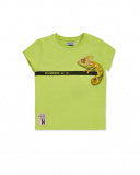 T-shirt jersey vert anis pour garçon Desert trail T-shirt jersey vert anis pour garçon Desert trail
