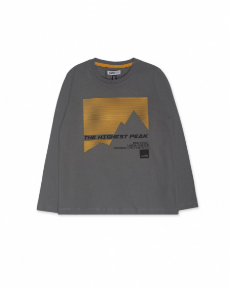 T-shirt en tricot gris garçon New Horizons