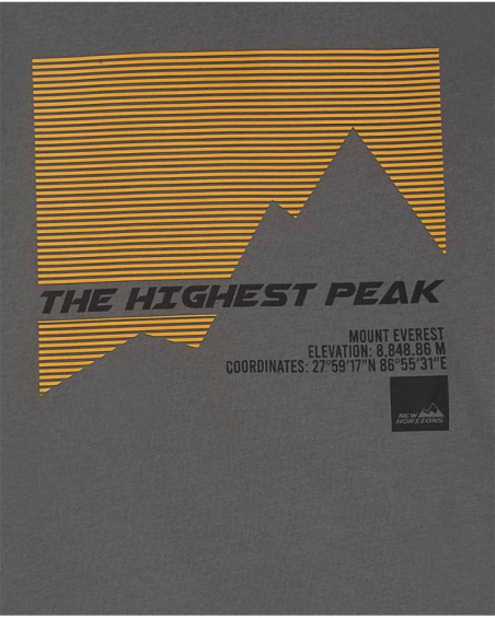 T-shirt en tricot gris garçon New Horizons