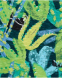 T-shirt garçon imprimé en maille vert collection Tropadelic