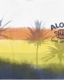 T-shirt long en maille blanc garçon Collection Sons Of Fun