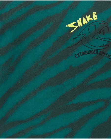 T-shirt tricot rayé vert pour garçon Collection Savage Spirit