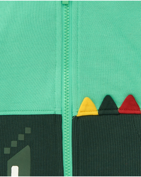 Sweat à capuche pour garçon dans les tons verts avec motif