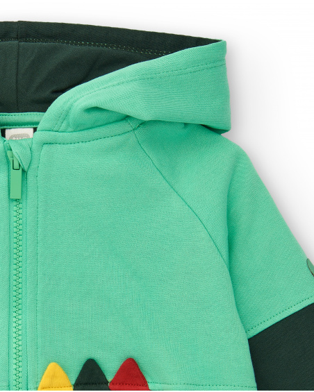 Sweat à capuche pour garçon dans les tons verts avec motif