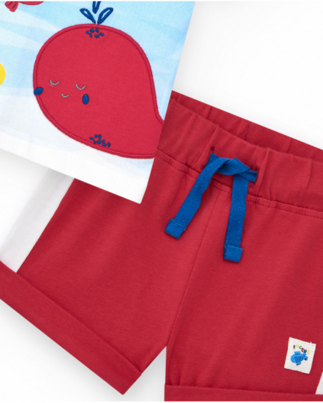 Conjunto de punto para niño con camiseta blanca y shorts rojos