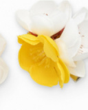 Barrettes pour fille avec pétales blancs et jaunes