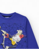 Sweat-shirt pour garçon en bleu avec poignets côtelés et col rond.