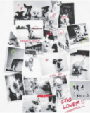 T-shirt pour garçon en blanc avec imprimé photographique.