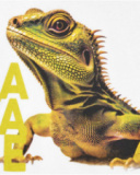 T-shirt pour garçon en blanc avec imprimé réaliste