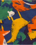 Ensemble pour garçon avec sweat multicolore et pantalon jogger vert.