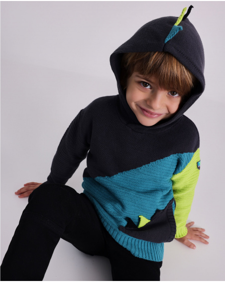 Pull en maille avec capuche pour garçon en bleu, vert et noir avec détails dinosaure