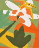 T-shirt garçon en maille avec imprimé frontal