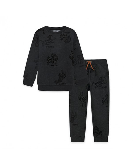 Conjunto sudadera y pantalon Conjunto sudadera y pantalon
