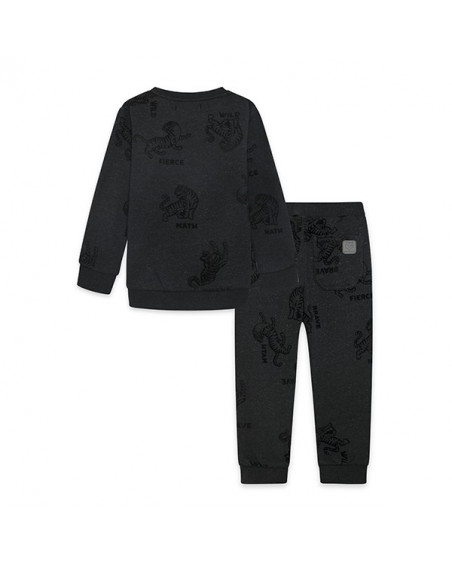 Conjunto sudadera y pantalon Conjunto sudadera y pantalon