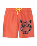 Bermuda tigre save our species Bermuda tigre save our species