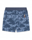 Bermuda palms soul adventurer Bermuda palms soul adventurer