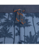 Bermuda palms soul adventurer Bermuda palms soul adventurer