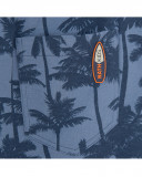 Bermuda palms soul adventurer Bermuda palms soul adventurer