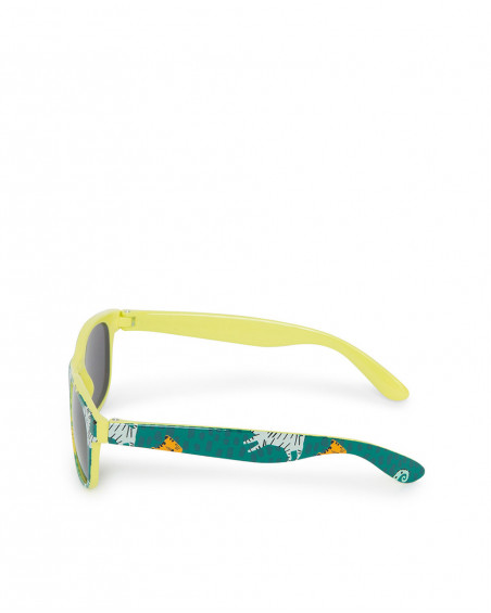 Lunettes de soleil vertes à motifs pour garçon de couleur verte