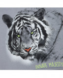 Bermuda amur save our species Bermuda amur save our species