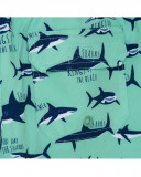 Bermuda sharkbay oceans friends Bermuda sharkbay oceans friends
